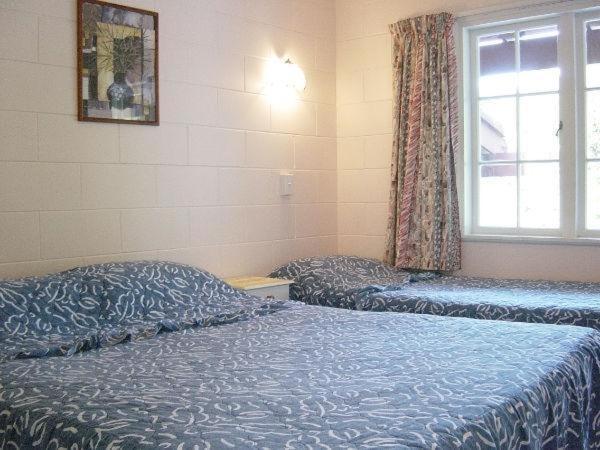 Browns Bay Olive Tree Motel & Apartment Okura Bush Номер фото