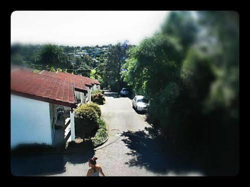 Browns Bay Olive Tree Motel & Apartment Okura Bush Экстерьер фото